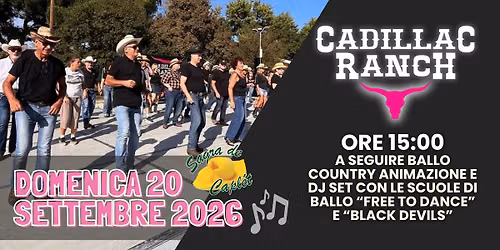 Cadillac Ranch in Concerto!