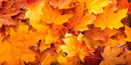 Altoona Boosters Fall Craft Fair