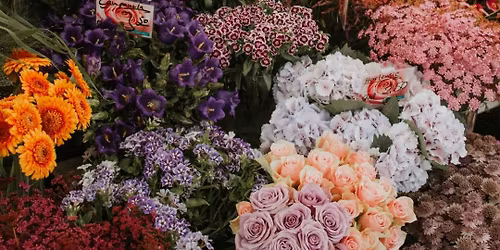 Mother\u2019s Day Mayhem!