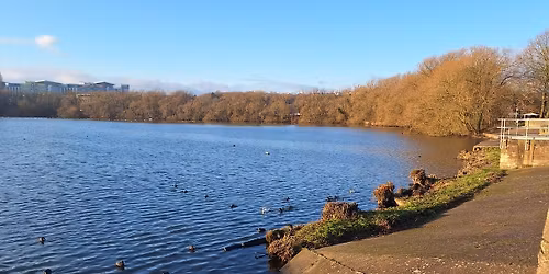 Tuesday Night Sound Bath [Congeries of Sound] 7.30pm.
