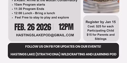 Muttart - Terrariums