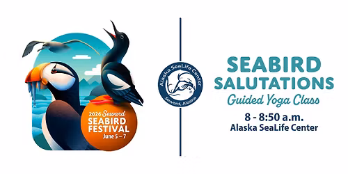 Seabird Salutations Yoga Class