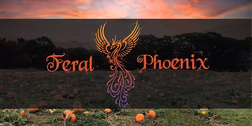 Monday Night Tribal Fusion Belly Dance Class