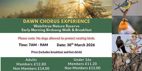 Dawn chorus walk and talk with breakfast included