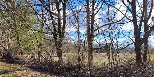 Pope's Meadow work party