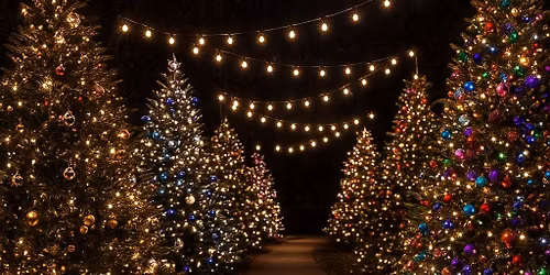 Community Christmas Party and Tree Garden Grand Opening