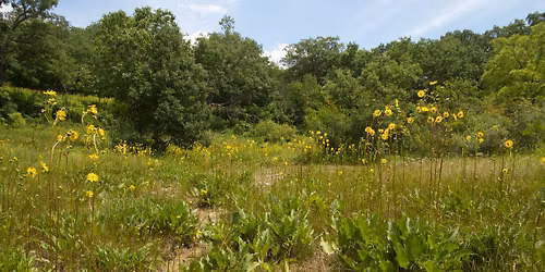 50th Anniversary Hike at Gallagher Fen