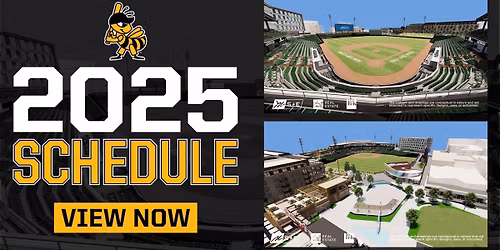 Salt Lake Bees at Reno Aces