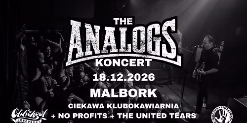MALBORK: 18.12.2026: THE ANALOGS + The United Tears + No Profits - Ciekawa Klubokawiarnia