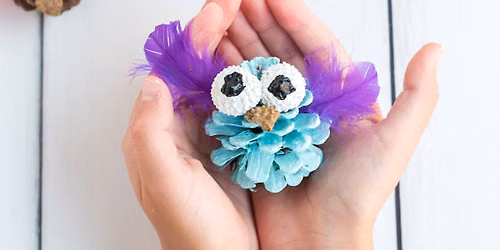 Free Wednesday Activity- Owl Pinecones 