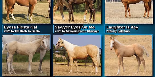 Ruzsa Quarter Horses 2026 Fall Extravaganza Horse Sale
