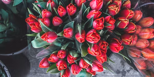 Any\u00e1k napi lazul\u00e1s