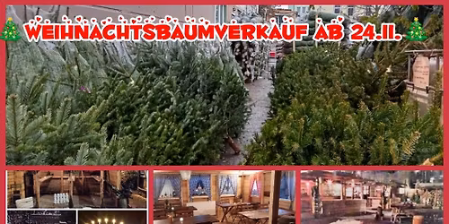 Weihnachtsbaumverkauf 24.11. bis 24.12.2025