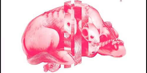 Sydney book launch: Year of the Ox by Andrew Brooks