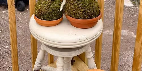 Kokedama (Moss) Ball with Hen & Chic 7\/21 @6pm