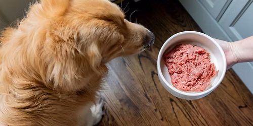 FREE samples of T+H Farms Real Food For Dogs in West U