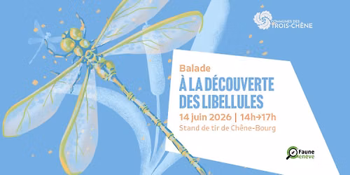 Balade - A la d\u00e9couverte des libellules