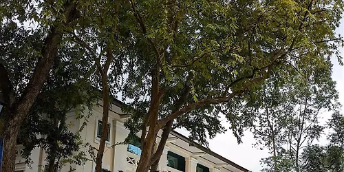 Fort Canning Park: A Stroll Through the Ages