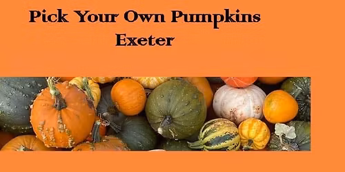 Pumpkin picking \ud83c\udf83