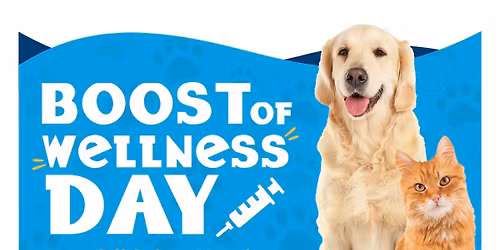 Boost of Wellness Fridays! 