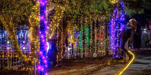 California Symphony: Northern Lights