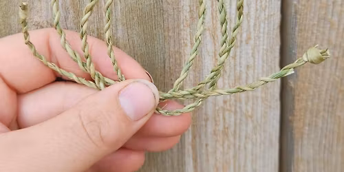 Cattail Cordage