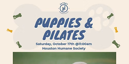Puppies and Pilates