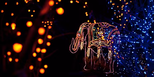 Zoo Lights: Sensory-Friendly Night