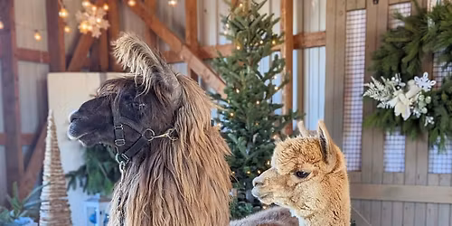 Small Business Saturday