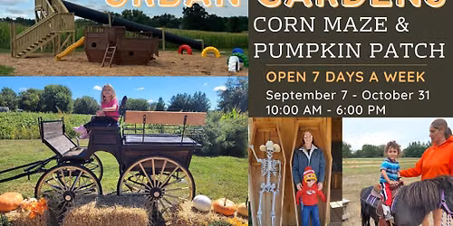 Urban Gardens Pumpkin Patch & Corn Maze