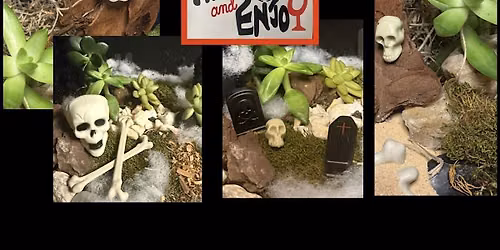 \u201cSpooky Terrarium \u201c Plant and Enjoy  at Lincolnway Flower Shop