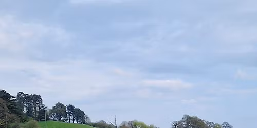 Progressive Polework AB1605