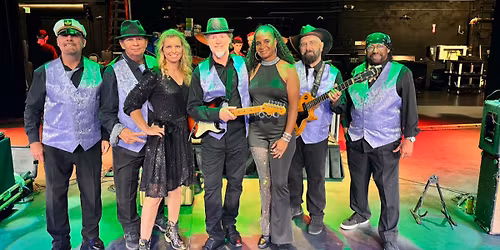 The Miami Disco Band