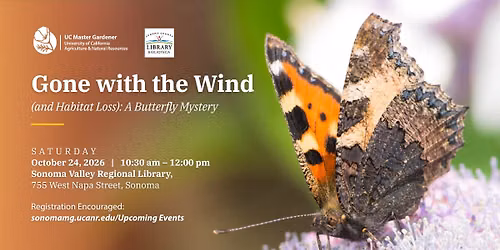 Gone with the Wind (and Habitat Loss): A Butterfly Mystery