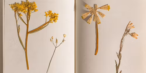 Pressed Flower Art Workshop