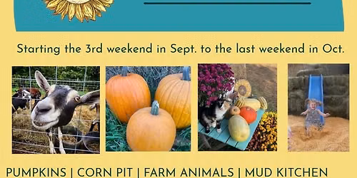 Fall Fest