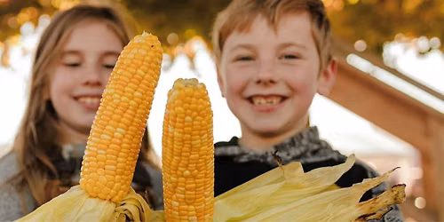 Fall Festival & Pumpkin Patch at Craven Farm 