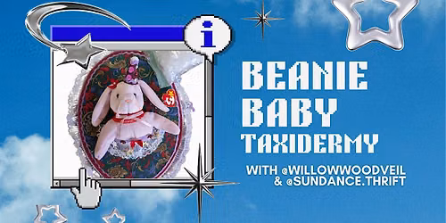 Beanie Baby Taxidermy