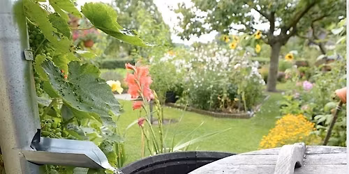 Urban Rainwater Harvesting