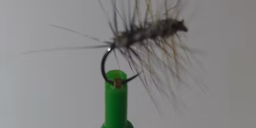 March 10, 2026 meeting of the Merrimack River Valley Chapter of Trout Unlimited