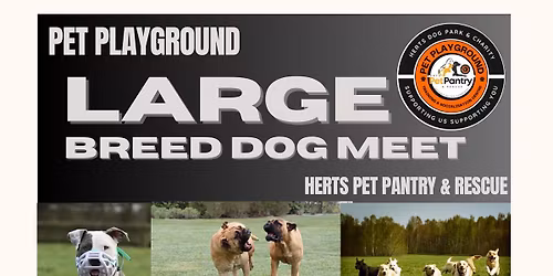 December Large Breed Meet