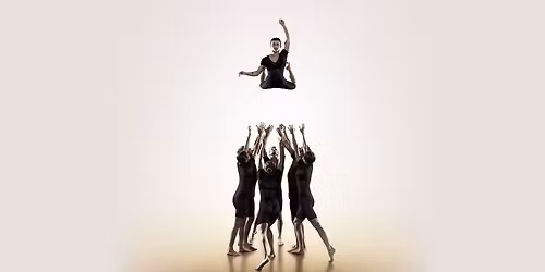 Circa\u2019s Humans 2.0