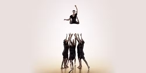 Circa\u2019s Humans 2.0