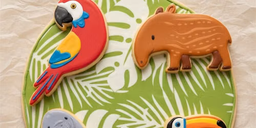 KIDS CAMP: TROPICAL FRIENDS COOKIES 