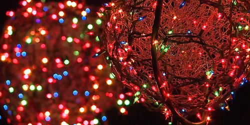 Lighted Christmas Balls Workshop!