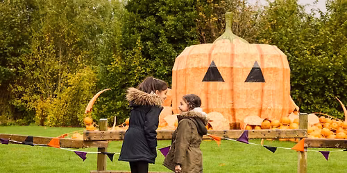 \ud83c\udf83 Halloween at Chester Zoo - Pumpkins, mythical storytelling and family fun! \ud83c\udf83