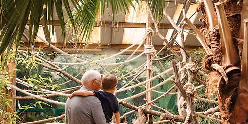 Late night openings at Edinburgh Zoo