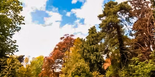 Bournemouth Vegan Meet-Up Gardens Walk