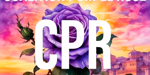 Community BBQ and Civics in the park.