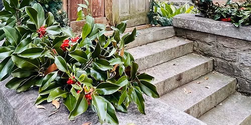 Twilights at Chimney Park